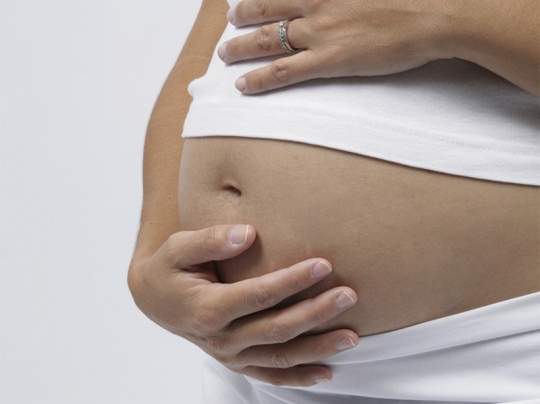 Sauzgatillo, pie de león, dong quai y maca son plantas que favorecen la fertilidad.