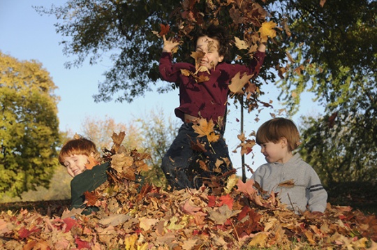 Niños jugando con hojas en otoño